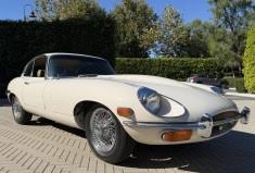 Image result for Pendelican White 1979 Jaguar