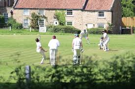 Image result for Hainault & Clayhall Cricket Club