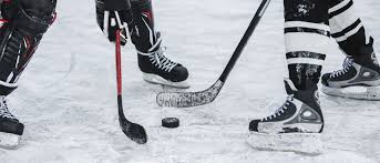 Image result for City Of Ely Roller Hockey Club