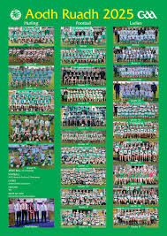 Image result for Aodh Ruadh Clg