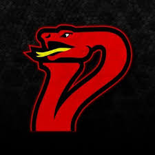 Image result for Vipers Roller Hockey Team