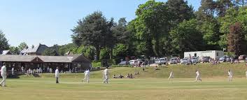 Image result for Frensham Cricket Club