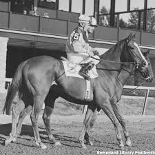 Resultado de imagen para sliced horse