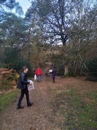 Image result for Wessex Orienteering Club