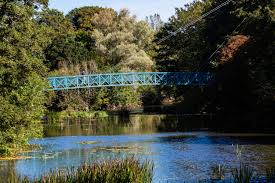 Image result for U3A Bude & District Scrabble Club