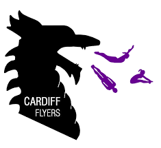 Image result for Gatwick Flyers Trampoline Club