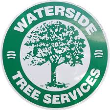 Image result for New Forest/Waterside