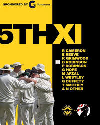 Image result for Mildenhall Cricket Club