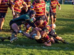 Image result for Ipswich Rfc