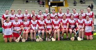 Image result for Ballerin Gaelic Athletic Club