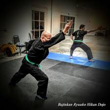Image result for Ryuko Dojo