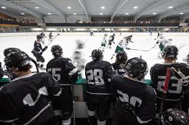 Image result for Brigg Hockey Club