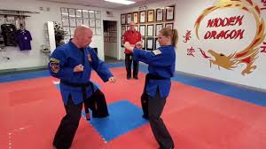 Image result for Hidden Dragon Karate-Do
