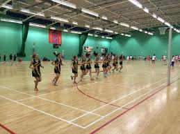 Image result for Huddersfield Giants Netball Club