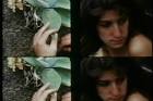 Lynne Sachs: experimental documentary filmmaker » Blog Archive ...