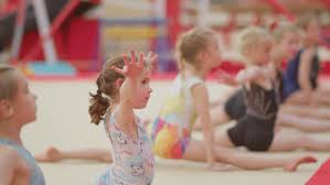 Image result for Waveney Gymnastics Club