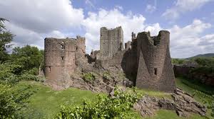 Image result for Ashby Castle Octopush Club