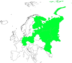 Attēlu rezultāti vaicājumam “Dactylorhiza russowii leaf”