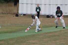 Image result for Worksop Cricket & Sports Club