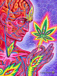 Image result for Alex gray