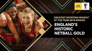 Image result for Huddersfield Giants Netball Club