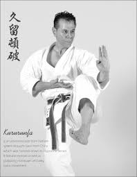 Image result for Katakuri Karate