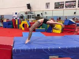 Image result for Hawth Gymnastics, Crawley