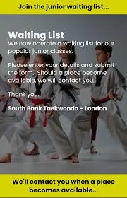 Image result for South Bank Taekwondo