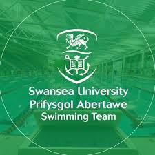 Image result for SwimSwansea