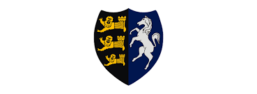 Image result for Thanet Wanderers Rufc