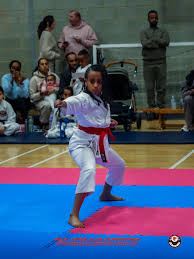 Image result for middlesbrough karate academy