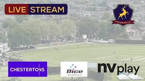 Image result for Odiham & Greywell Cricket Club