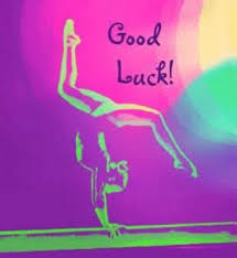 Image result for Appley Bridge Gymnastics Club