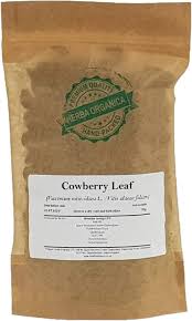 Attēlu rezultāti vaicājumam “Vaccinium vitis-idaea leaf”