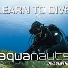 Image result for Plymouth Aquanauts