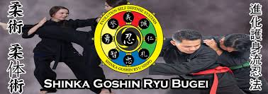 Image result for Goshin Ryu Atemi JuJitsu