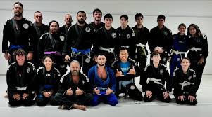Image result for Daniel Gracie Academy
