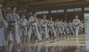 Image result for Sandokai Karate