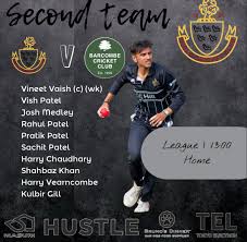 Image result for Ifield Cricket Club