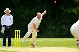 Image result for Ifield Cricket Club