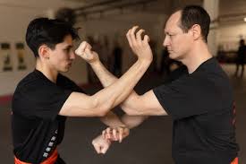 Image result for Combined self defence arts