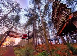 Image result for Go Ape! Moors Valley