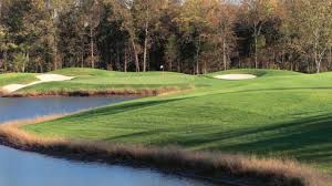 Image result for Worcester Dominies & Guild Cc