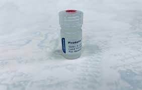 Attēlu rezultāti vaicājumam “Hypocrea rufa”