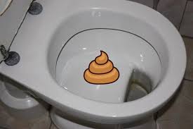 Image result for german toilet