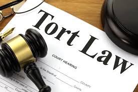 Image result for tort