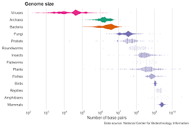 Image result for genome sizes