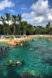 Image result for Discover Swimming