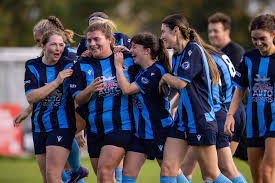 Image result for Haywards Heath Town Ladies Football Club