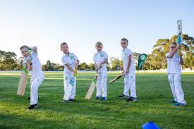 Image result for Bishops Waltham Cricket Club